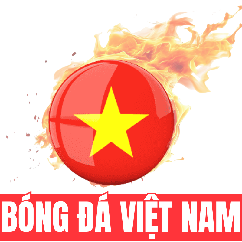 bóng đá việt nam